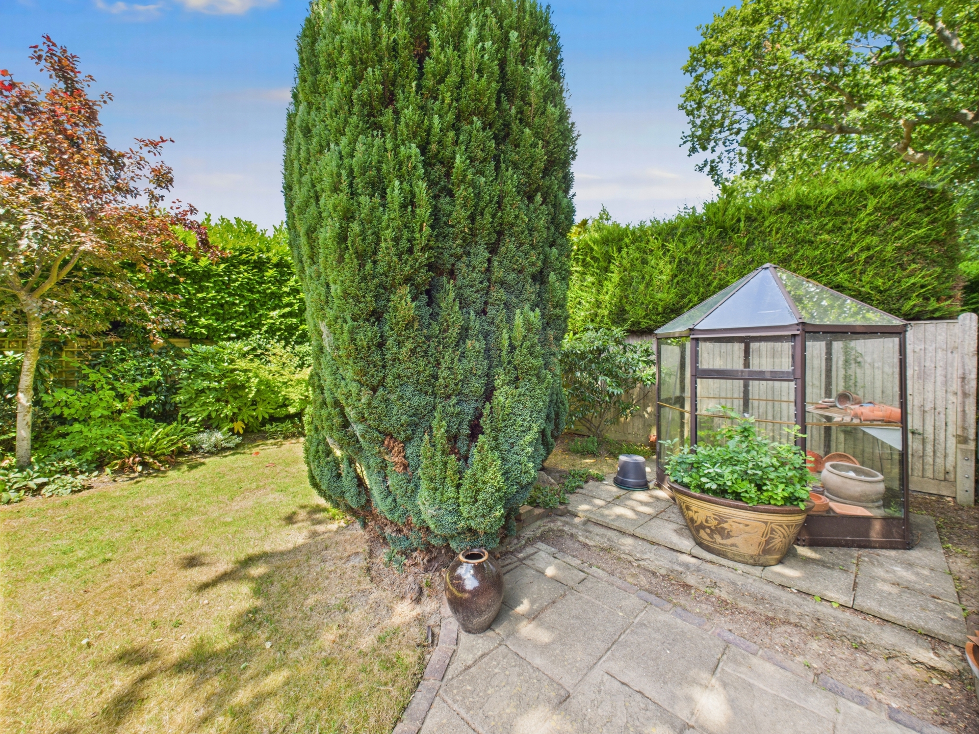 Garden 5