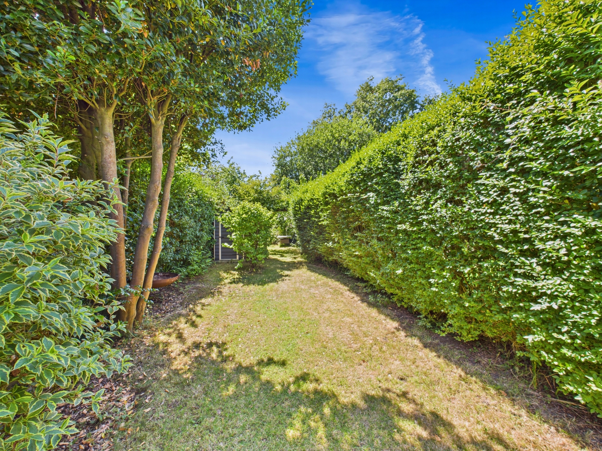 garden 4