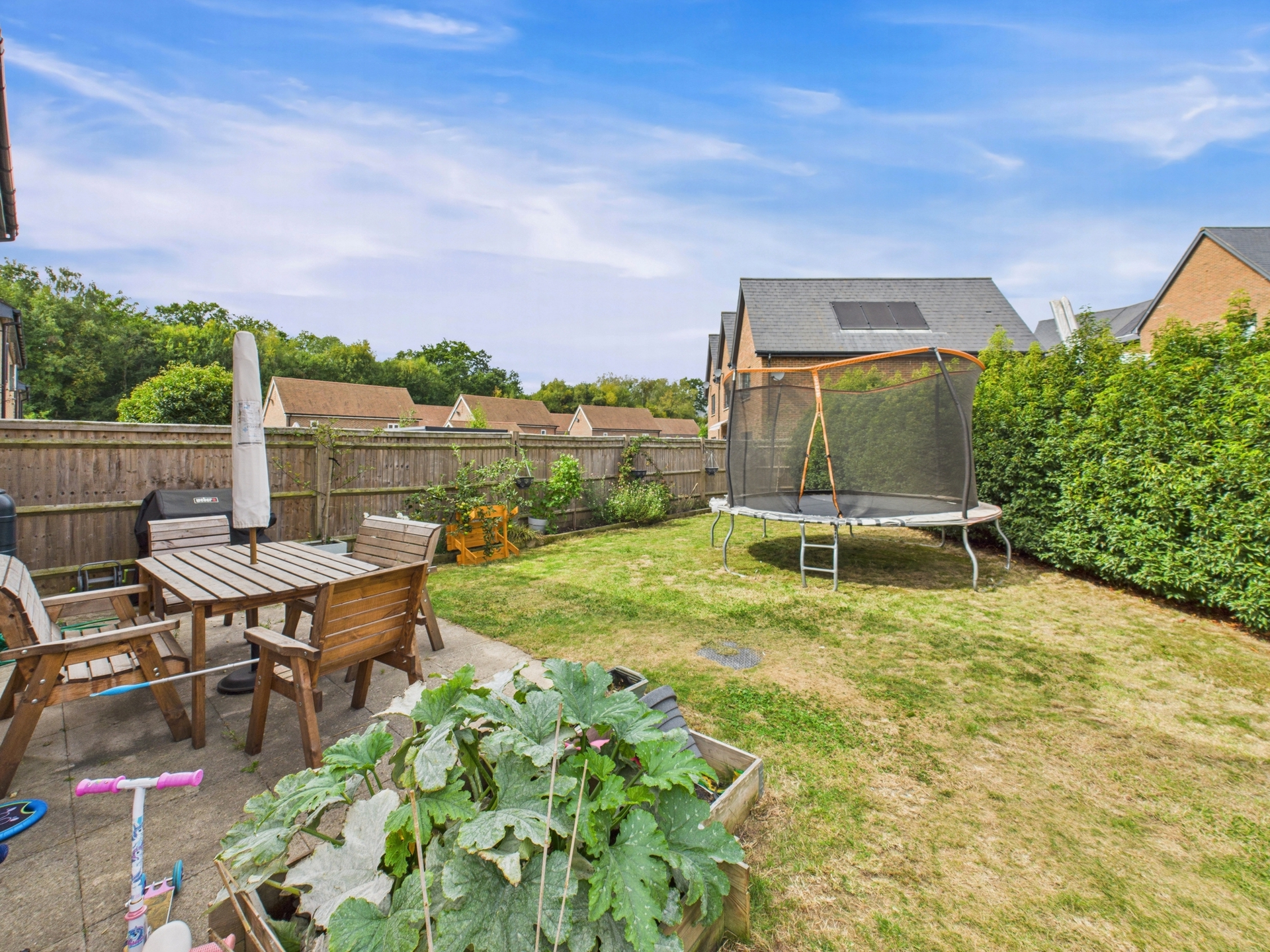 garden 1