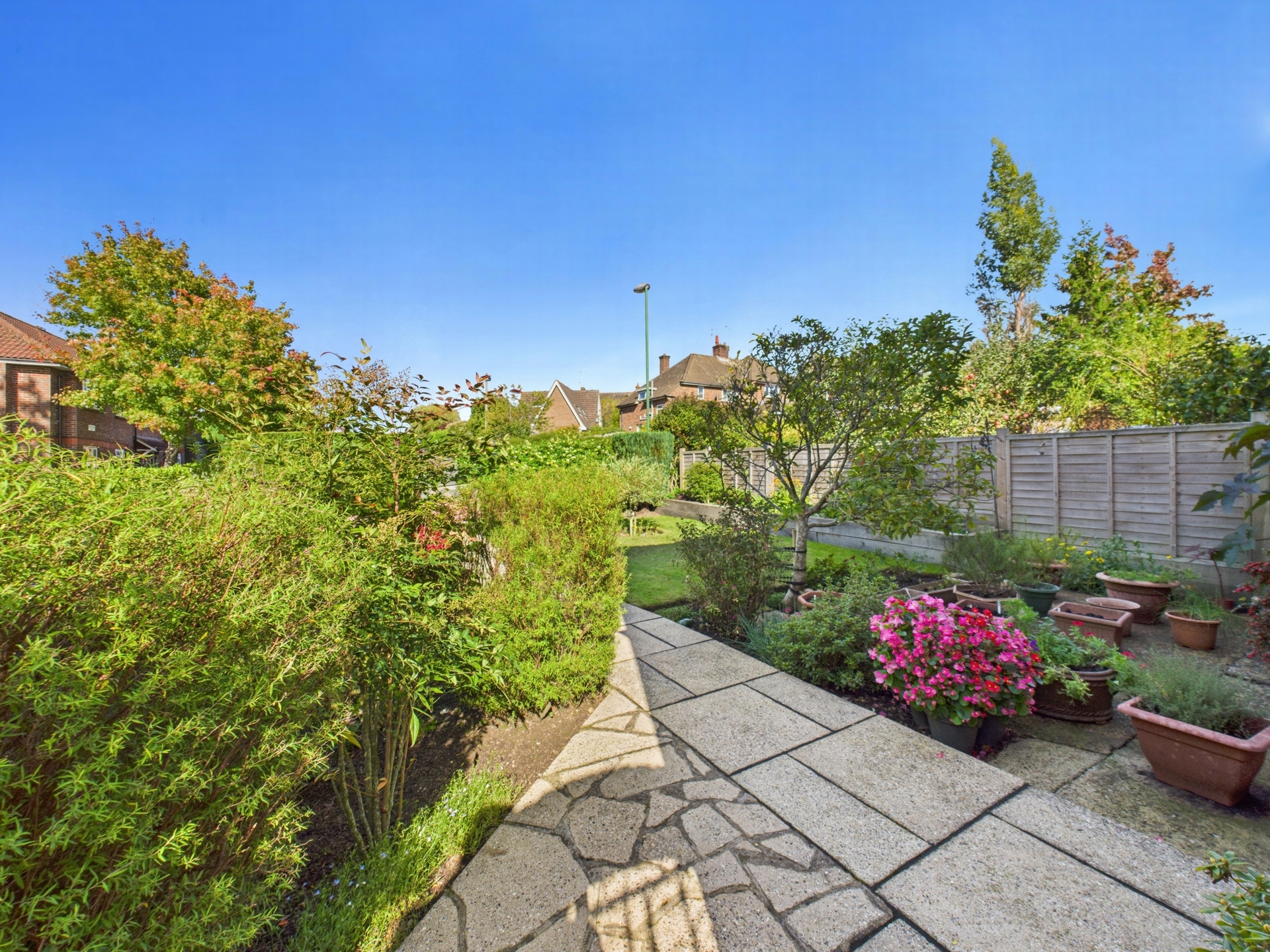 Garden 2