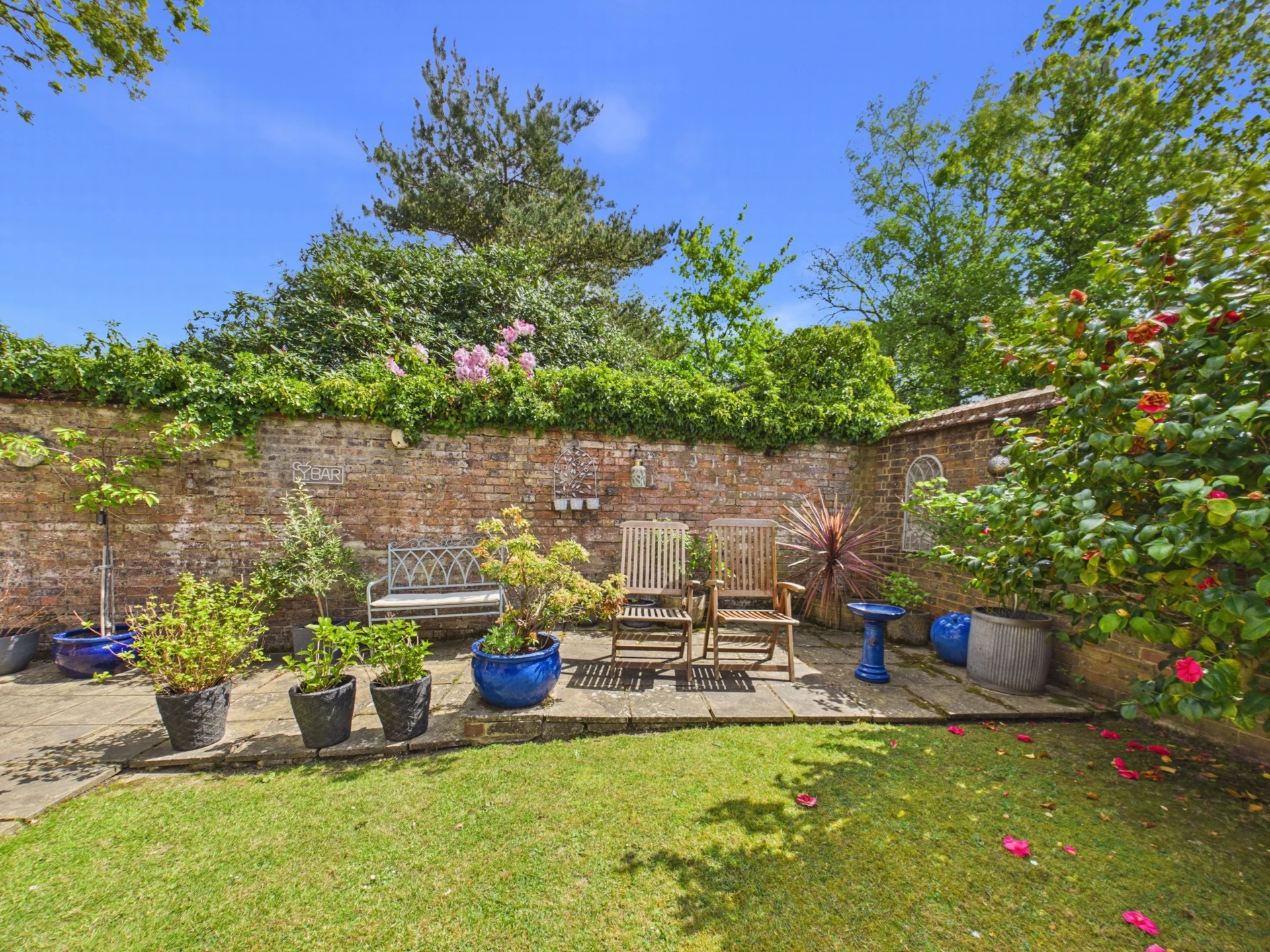 garden 4