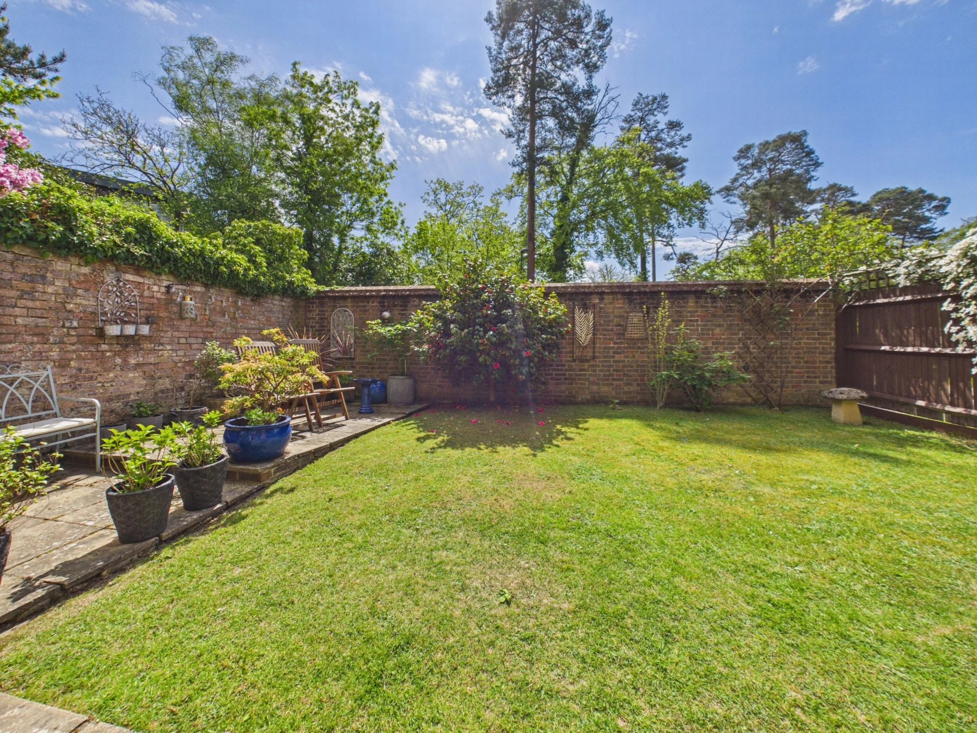 garden 1