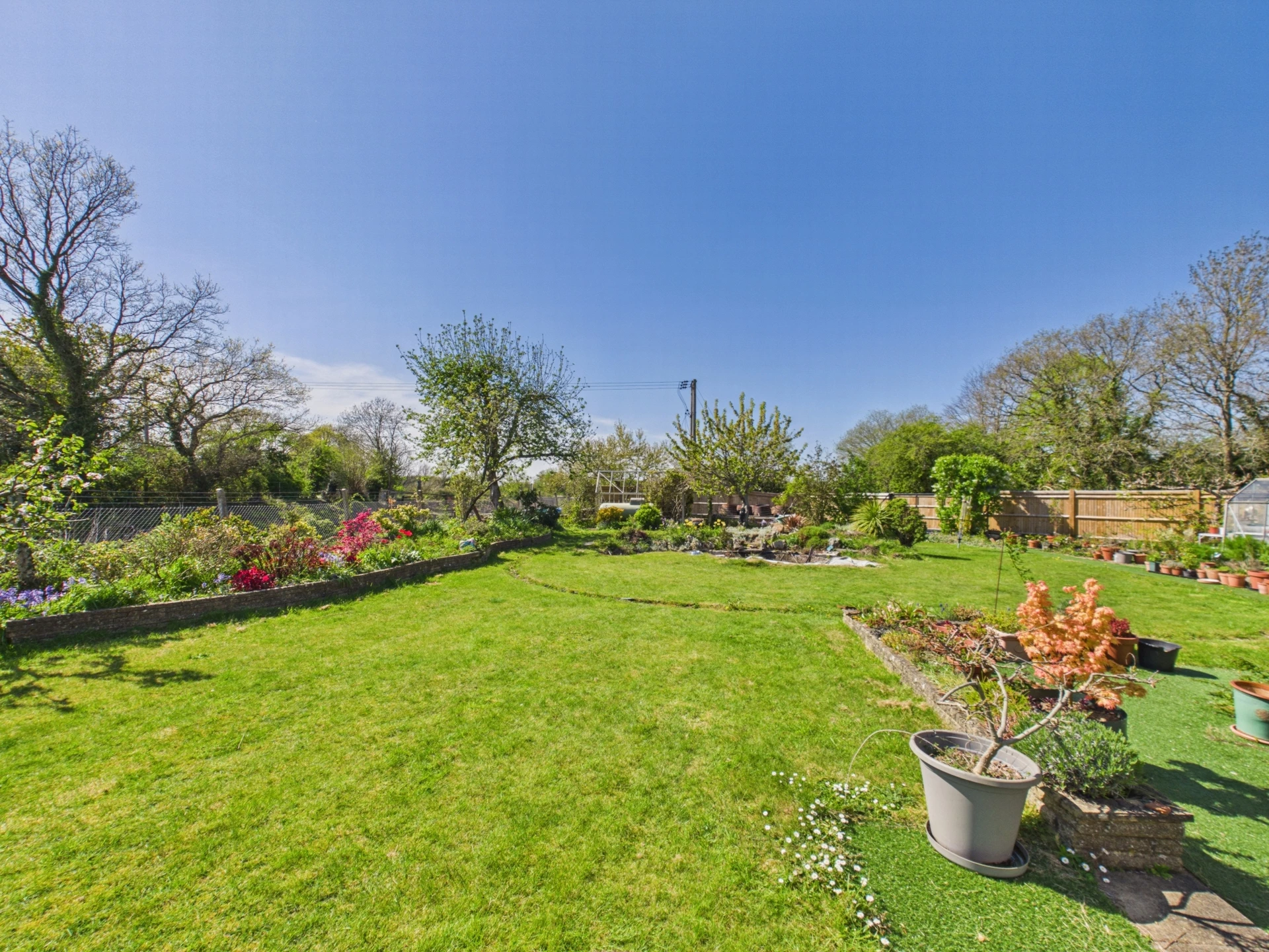 garden 1
