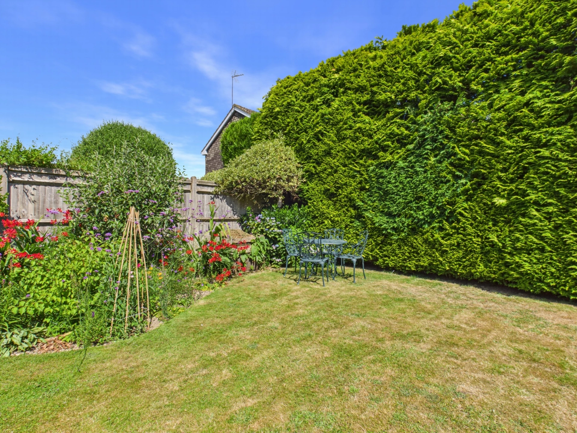 garden 3