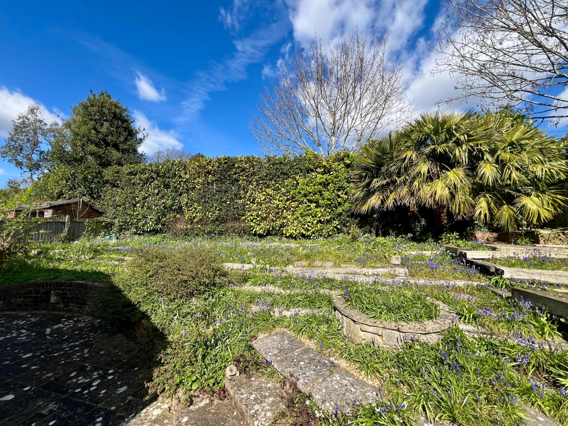 Garden in spring 3