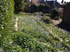 Garden in spring Garden in spring