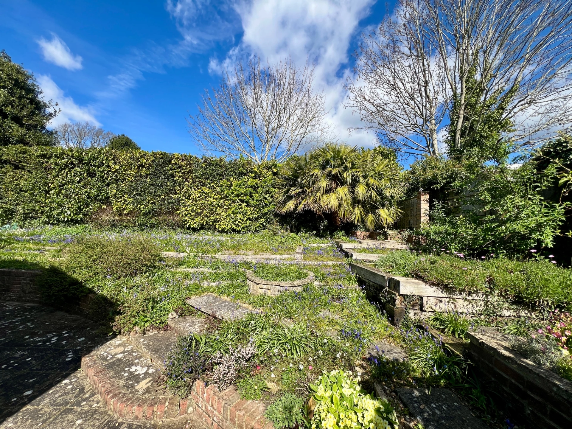 Garden in spring 2