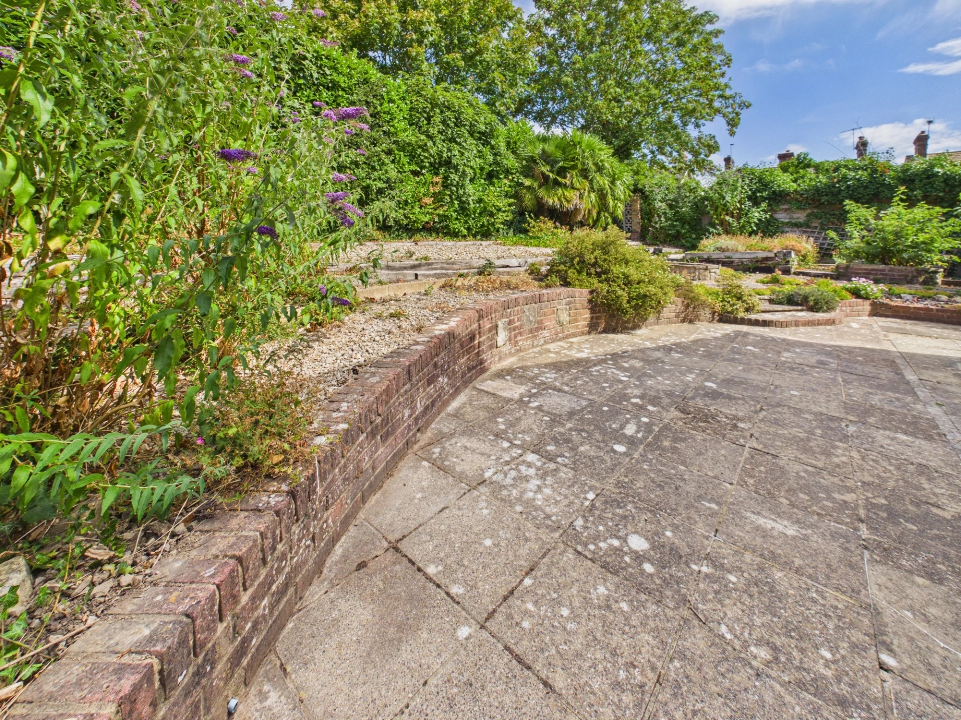Garden 3