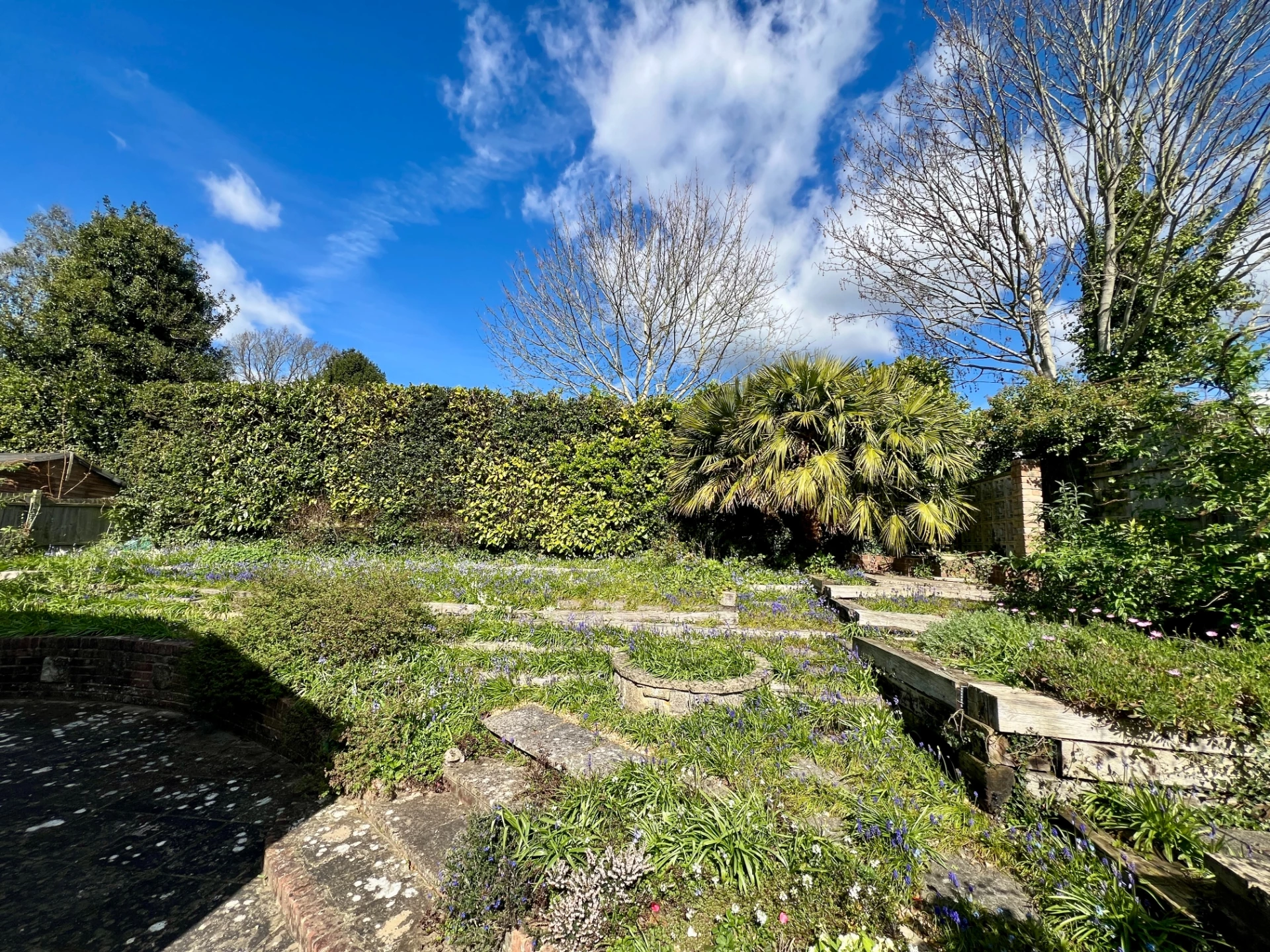 Garden in spring v2