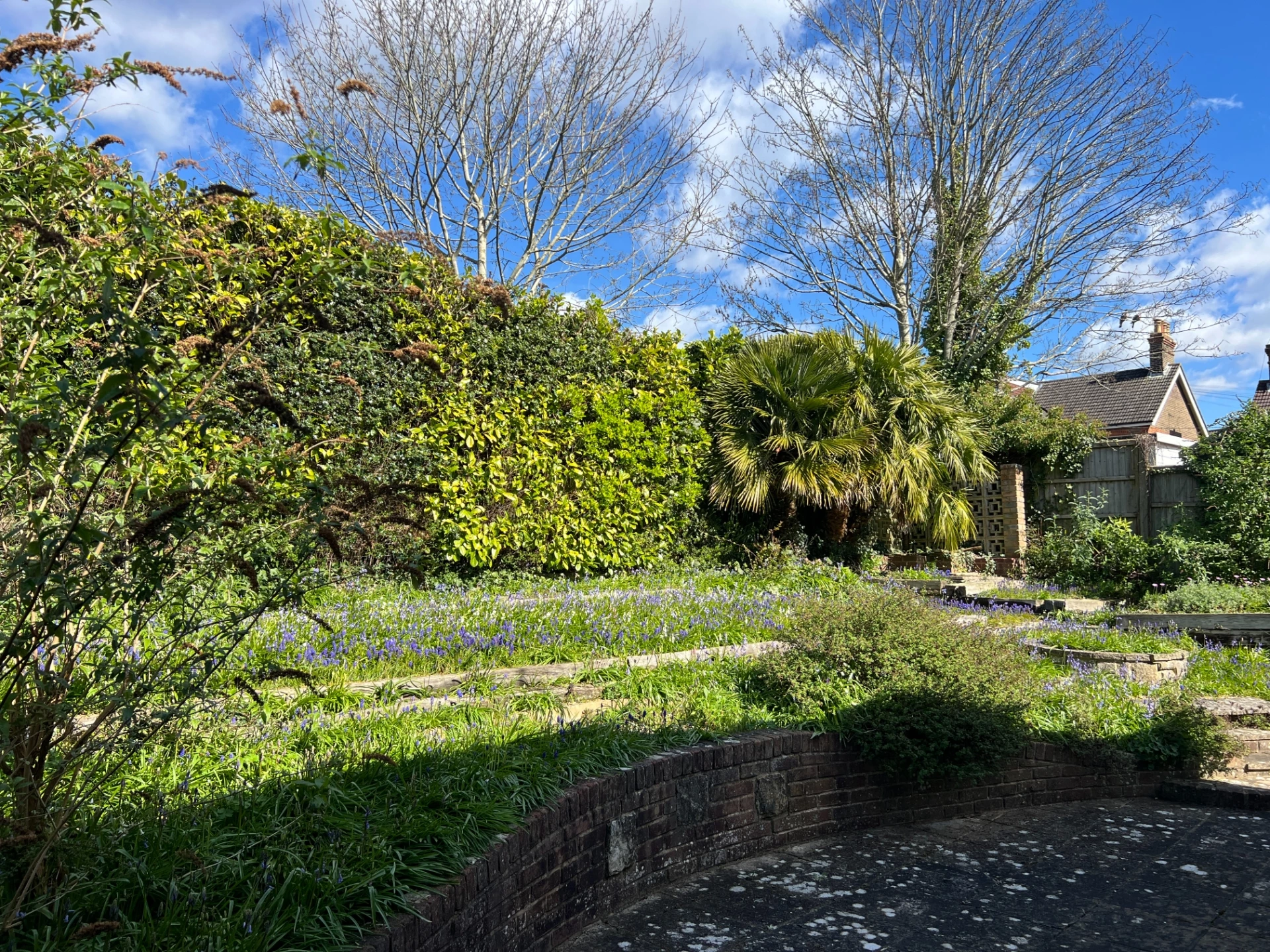 Garden in spring 7