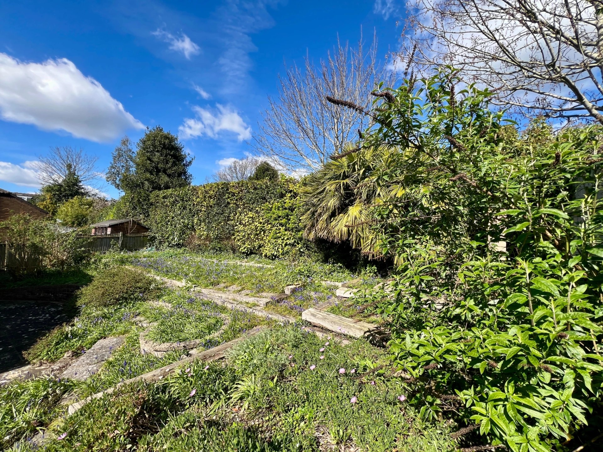 Garden in spring 4