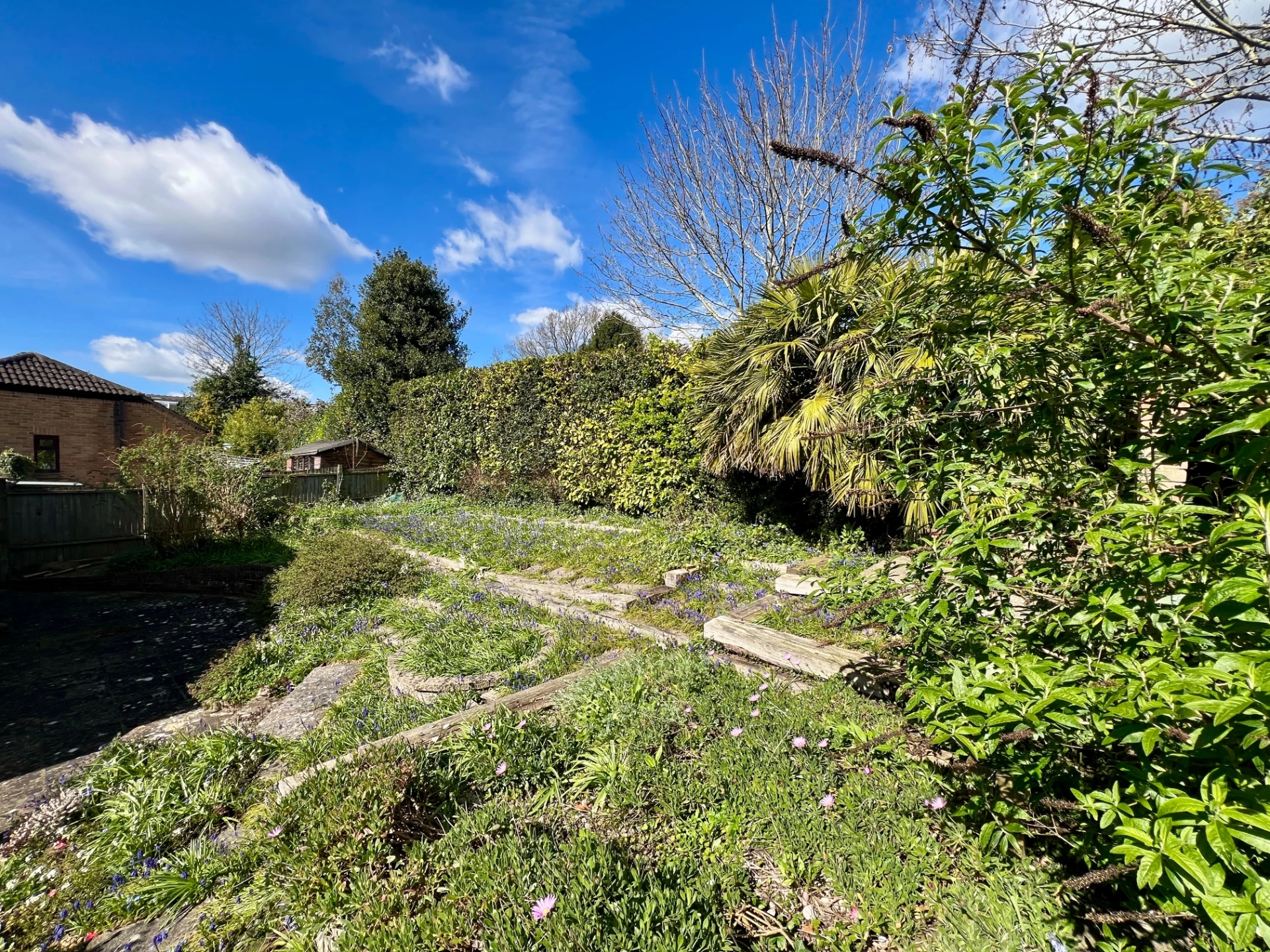 Garden in spring 5