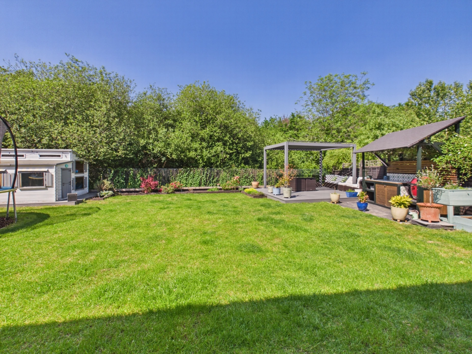garden 1