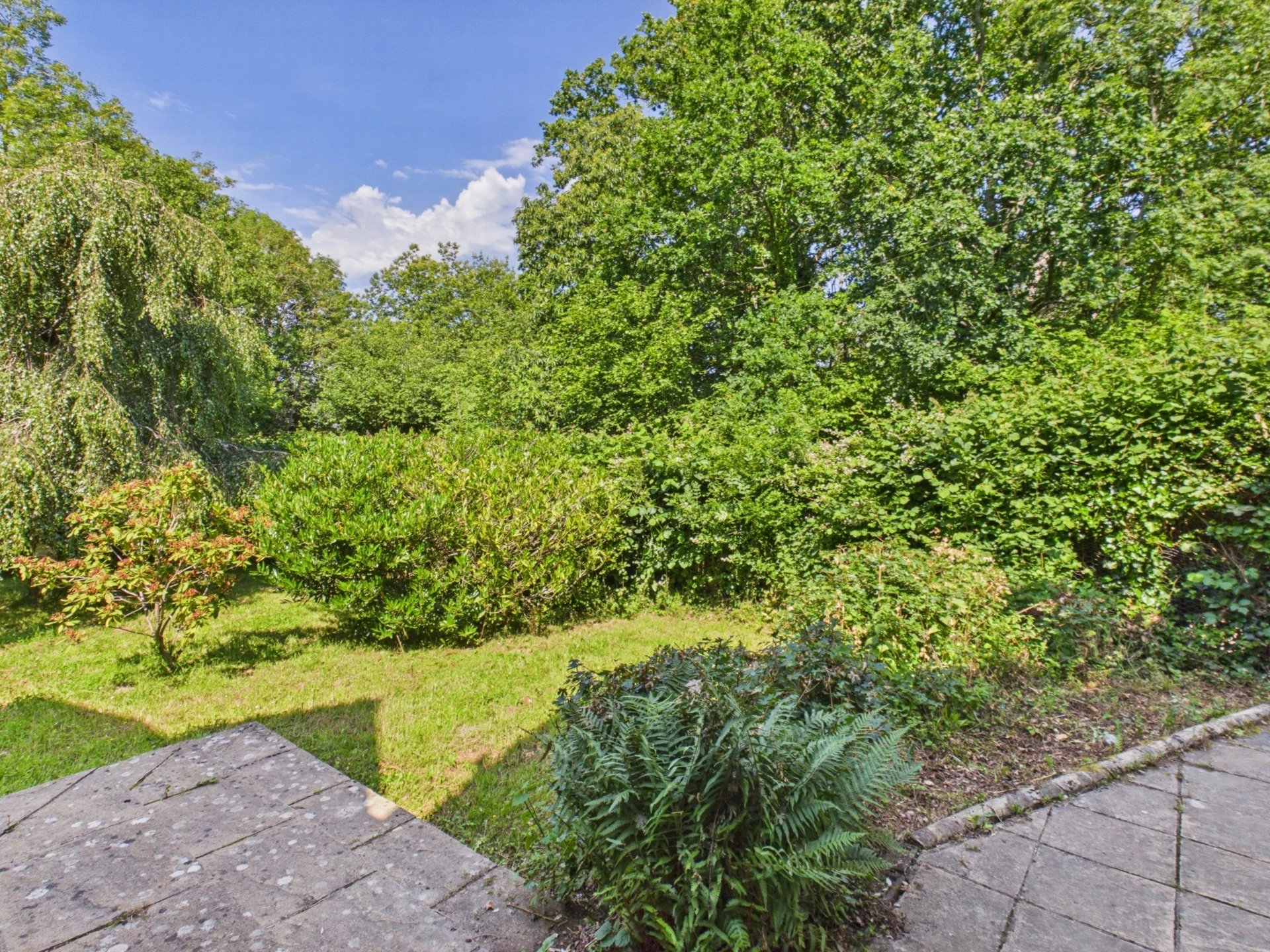 garden