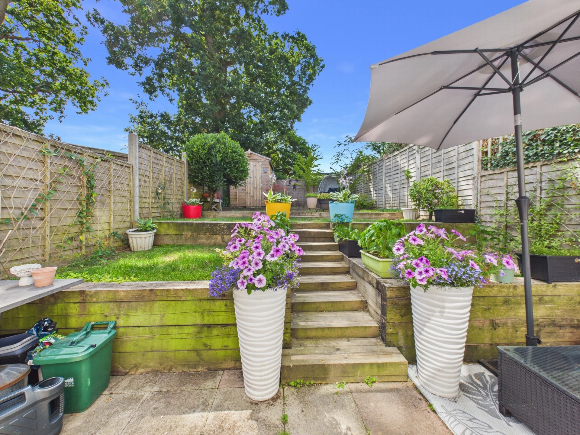 garden 3