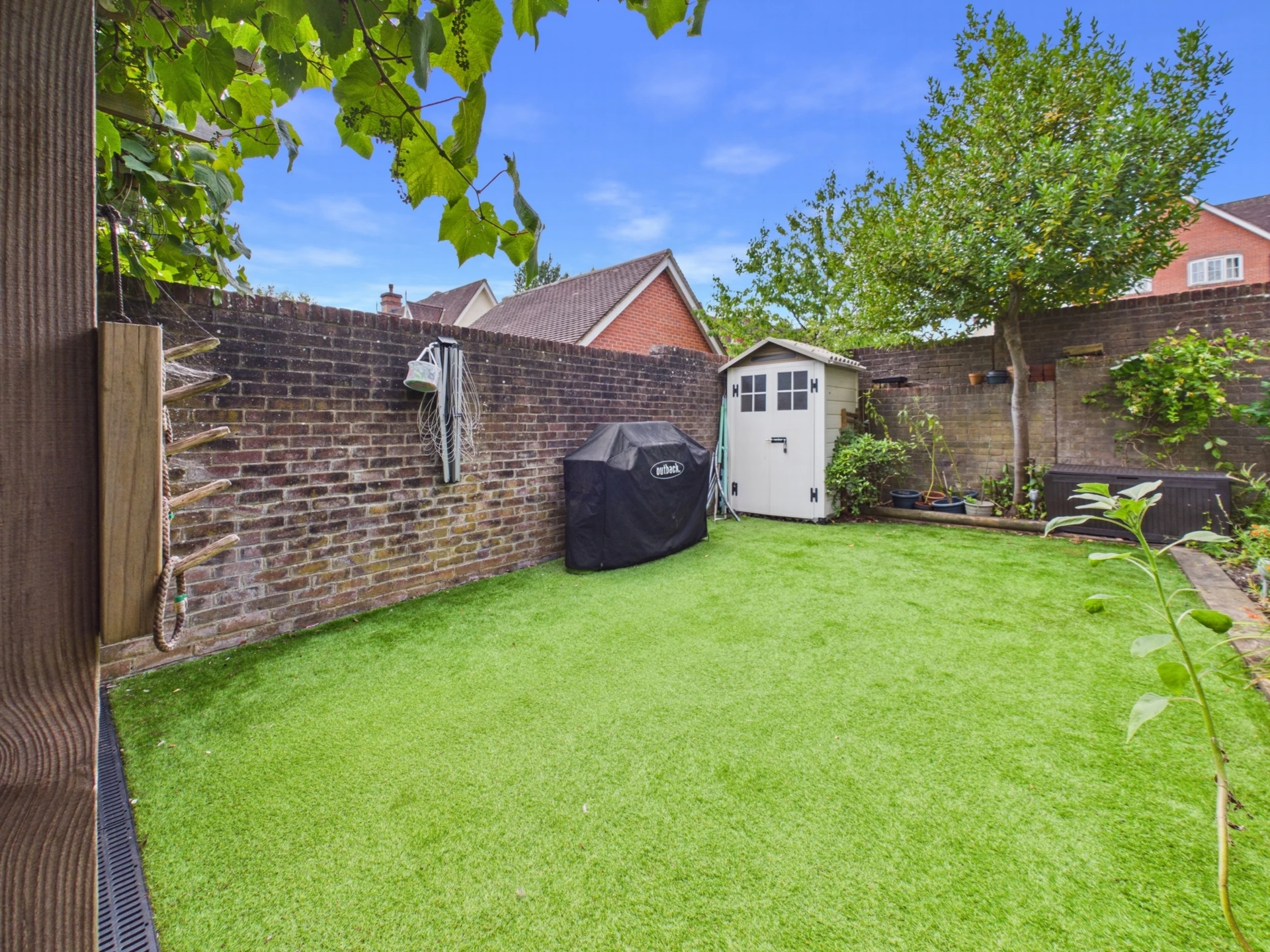 rear garden 3