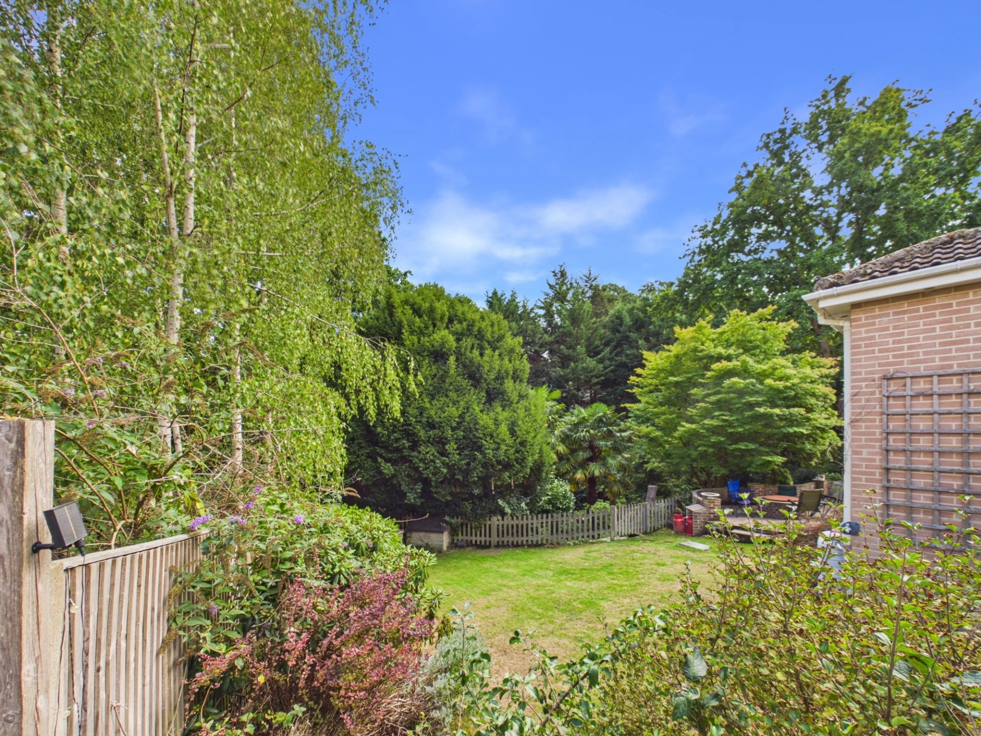 garden