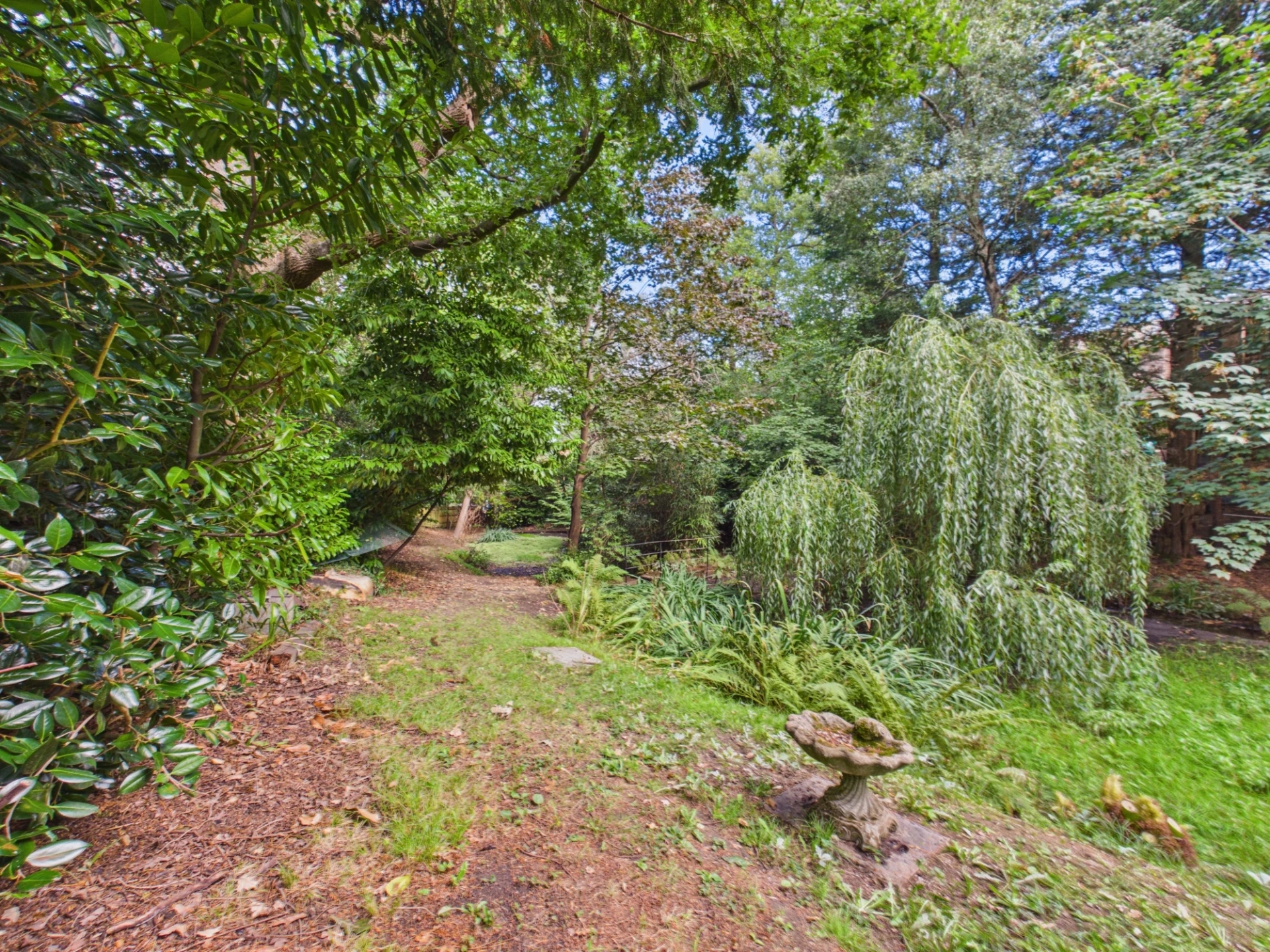 garden