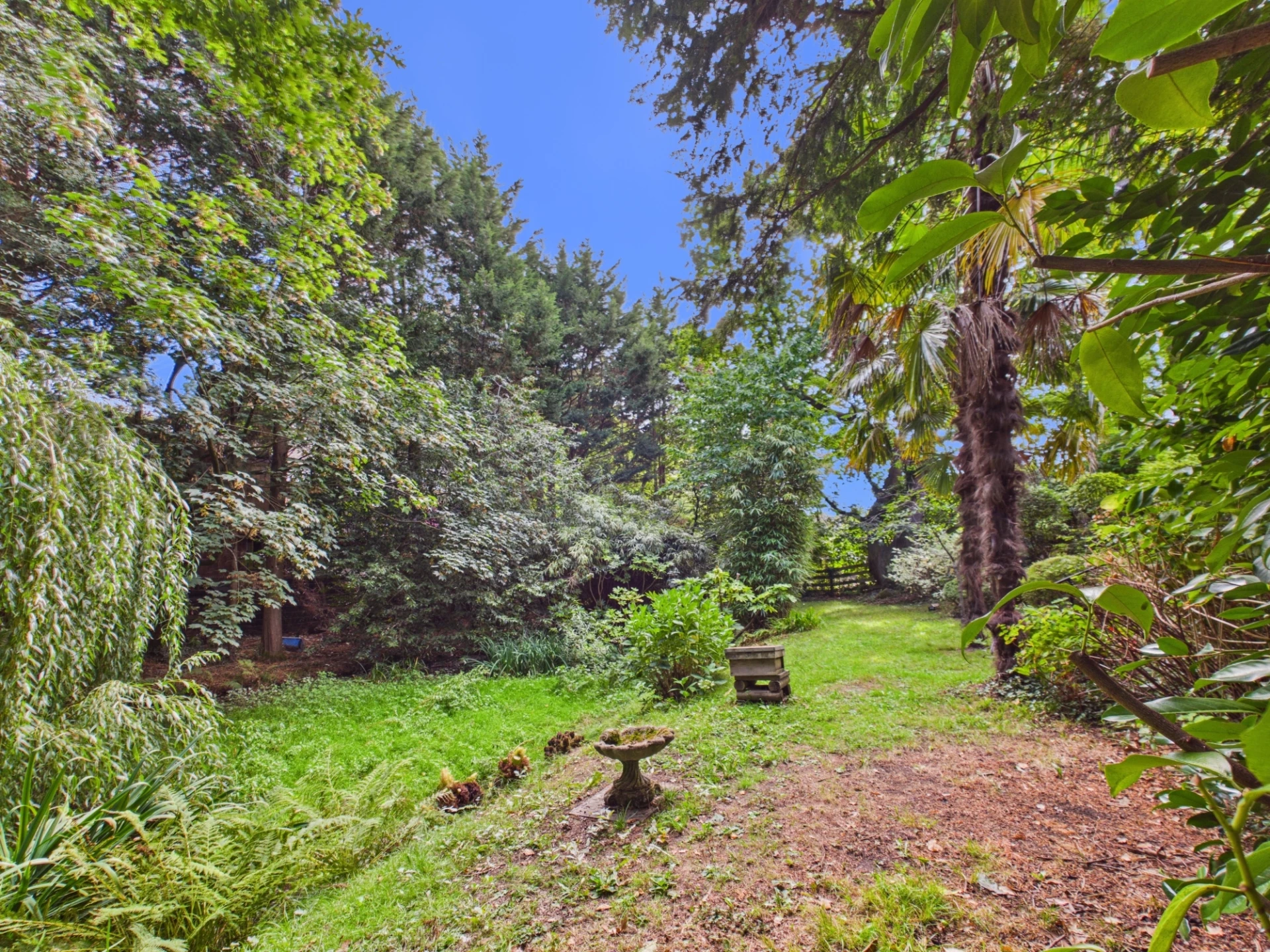garden
