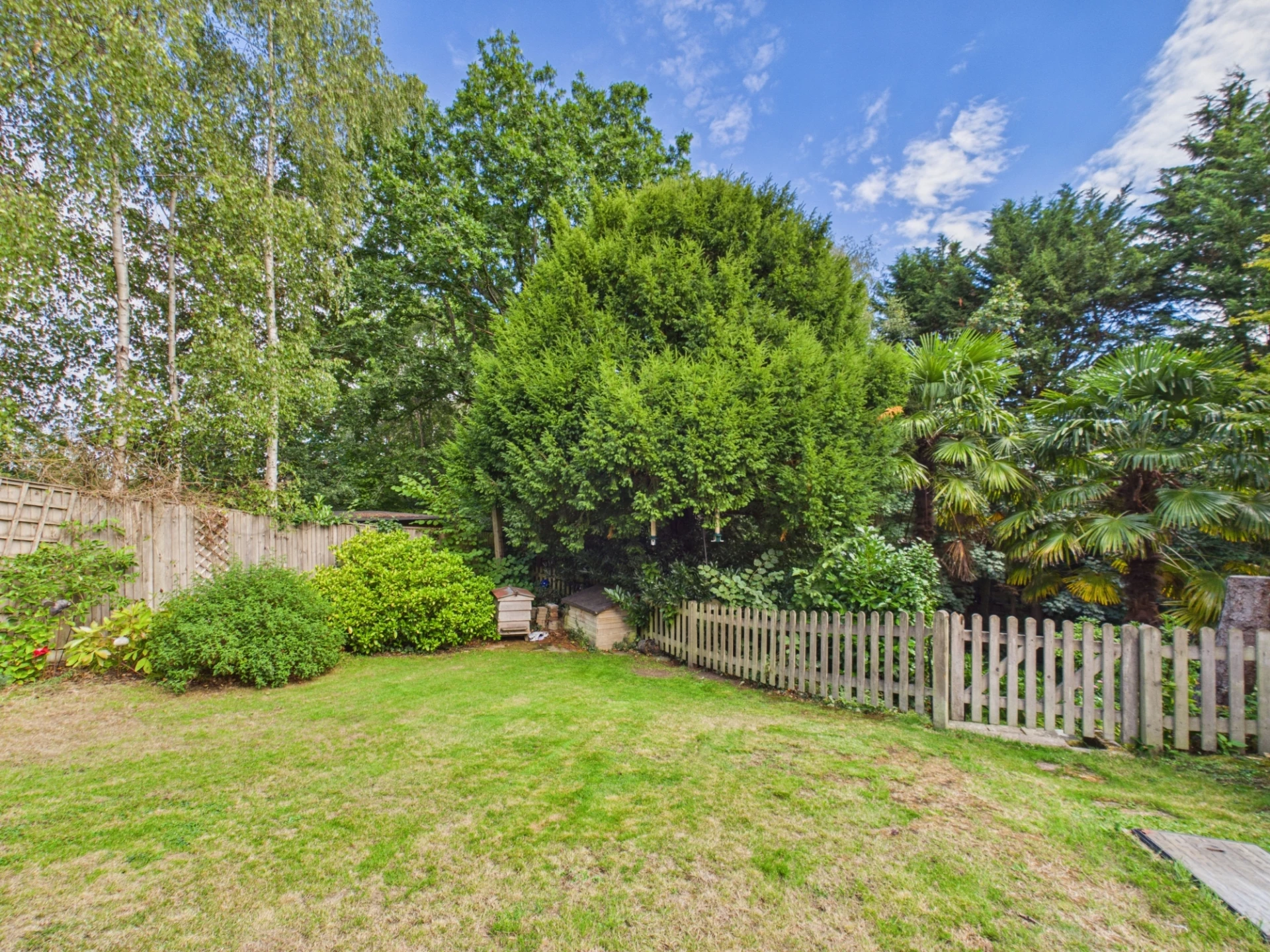 garden