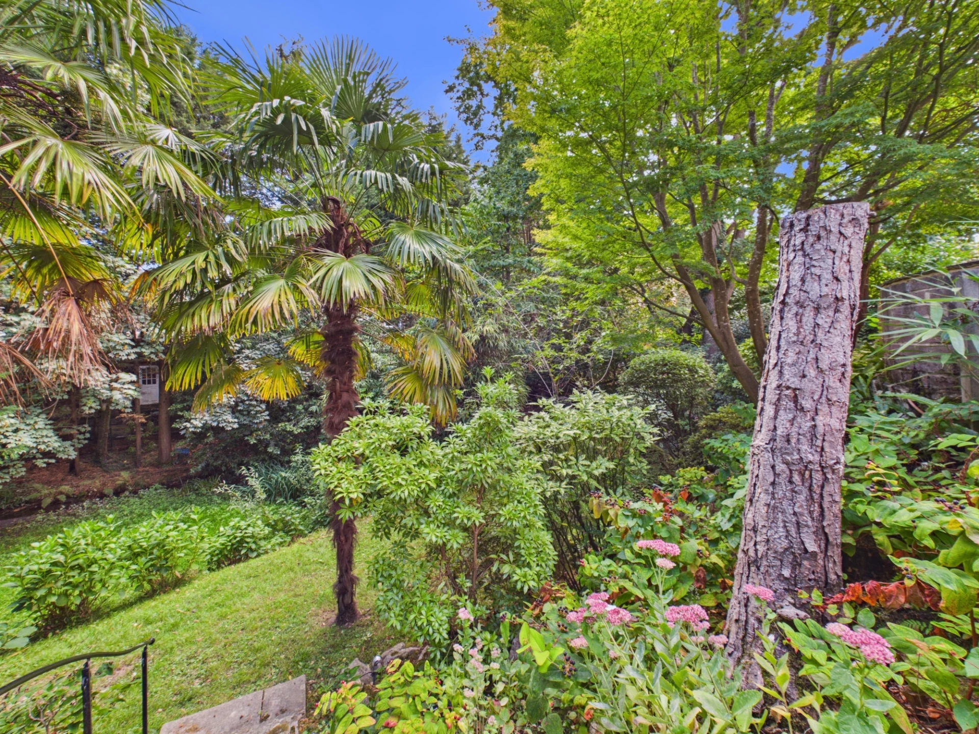 garden