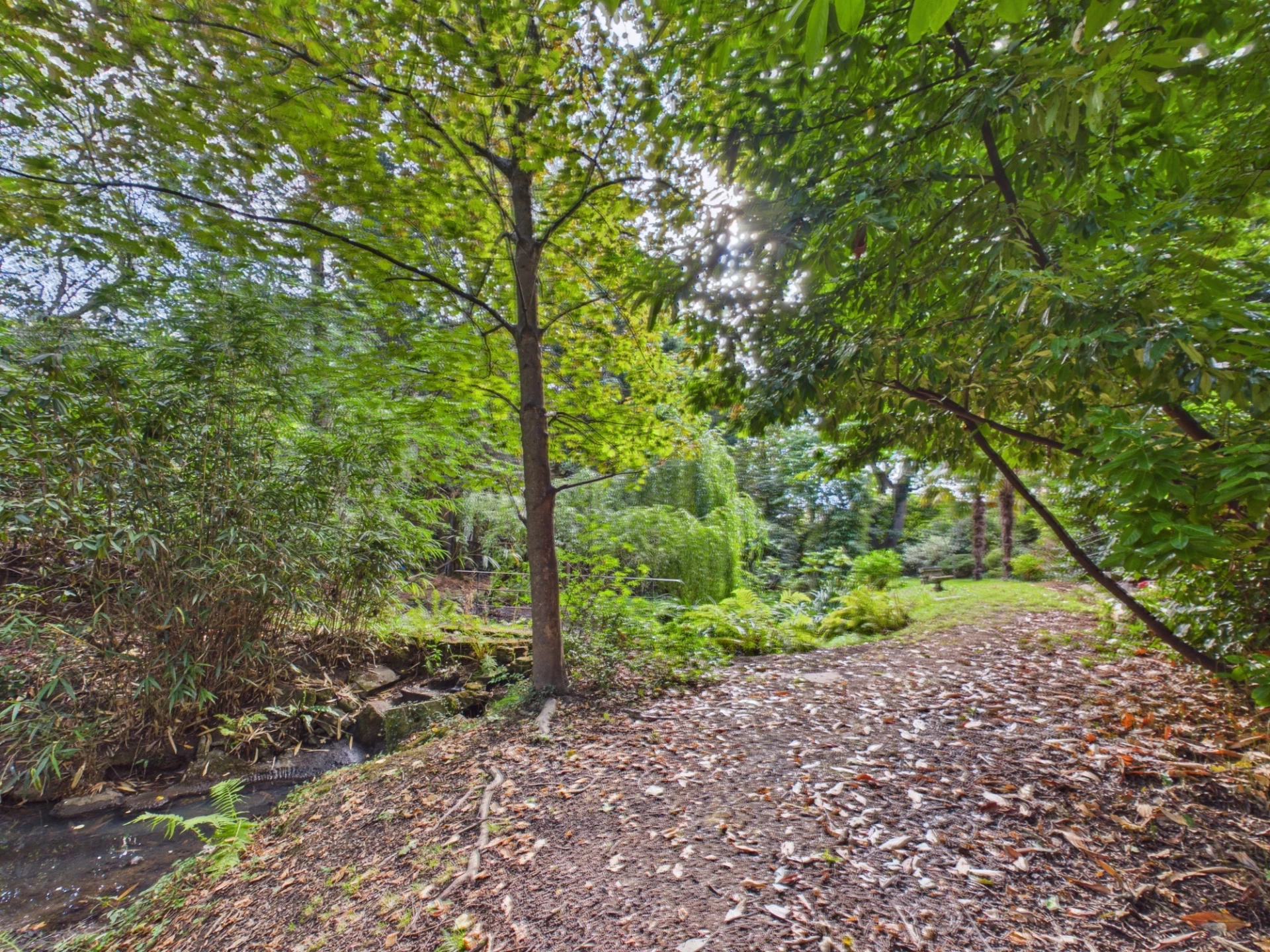 garden
