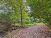 garden garden