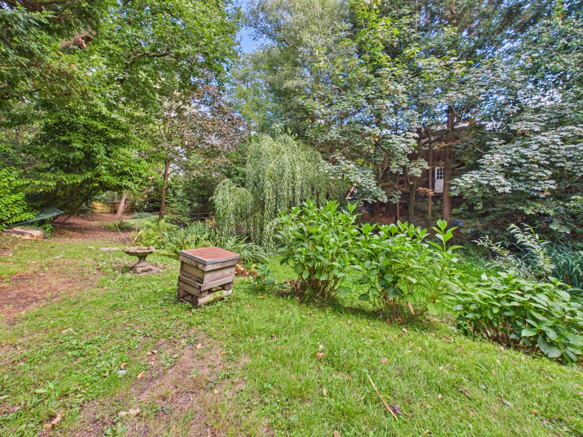 garden