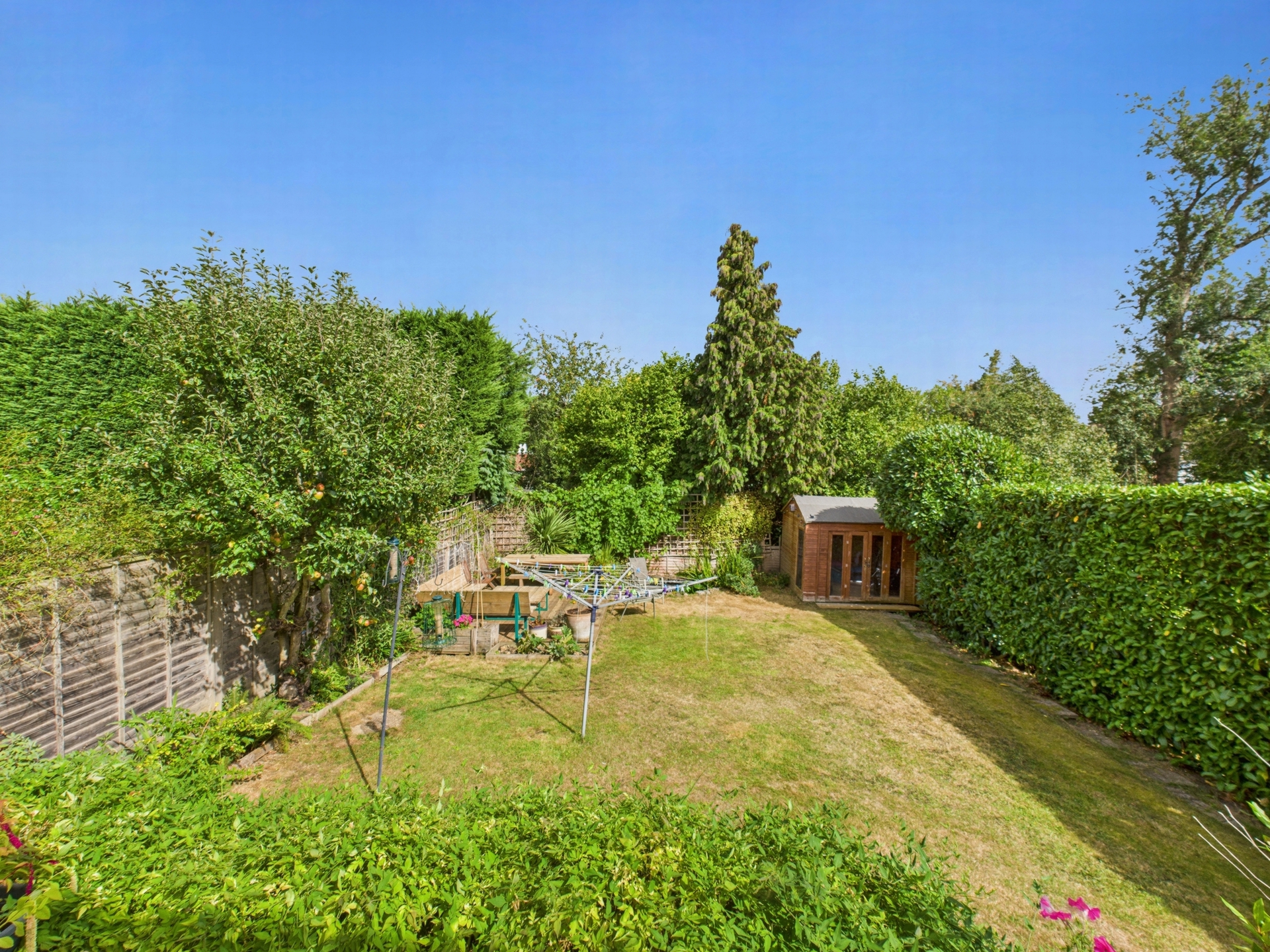 garden 3