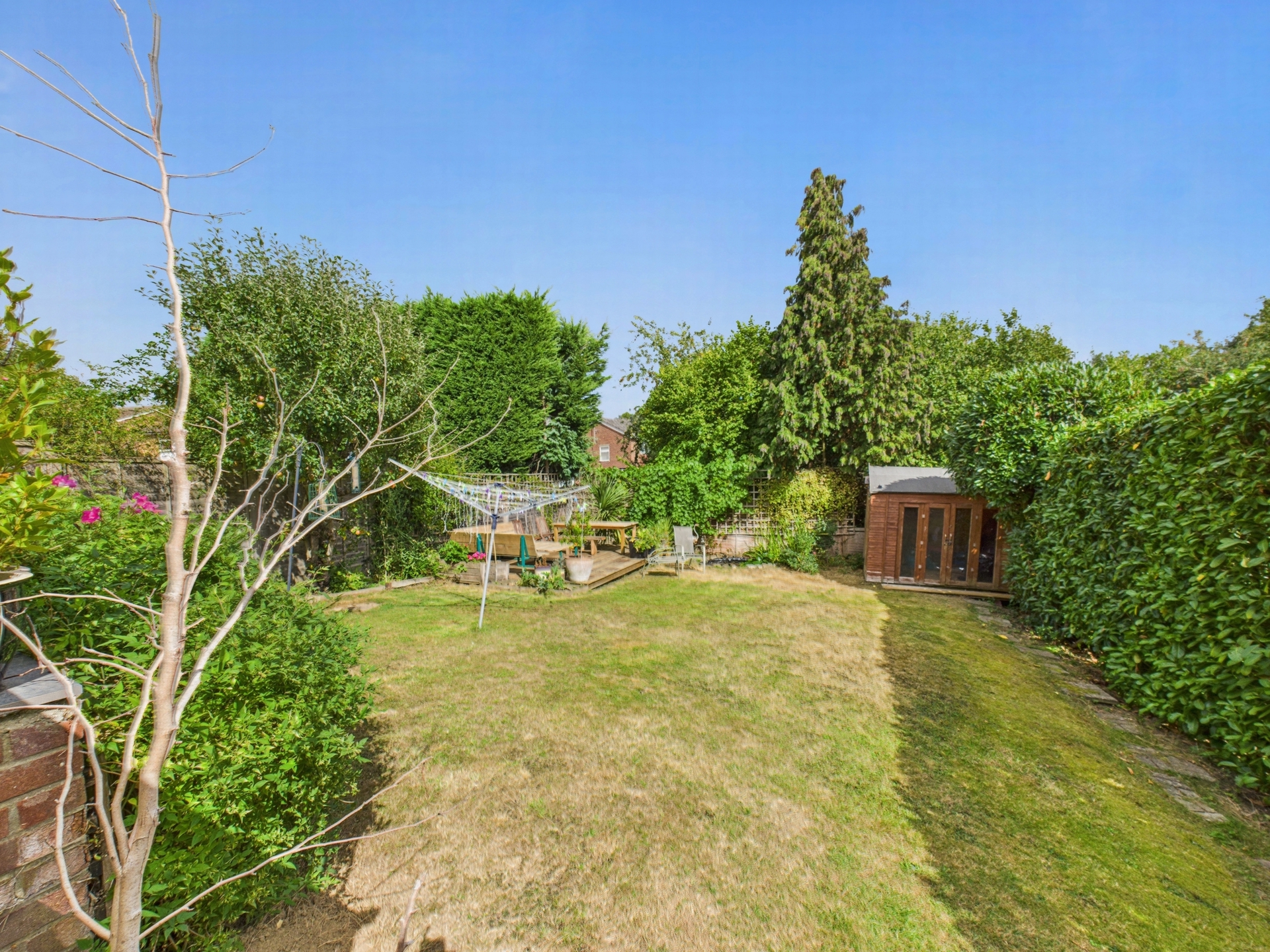 garden 5