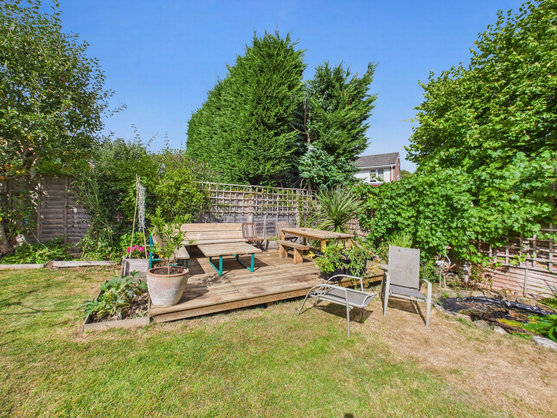 garden 7