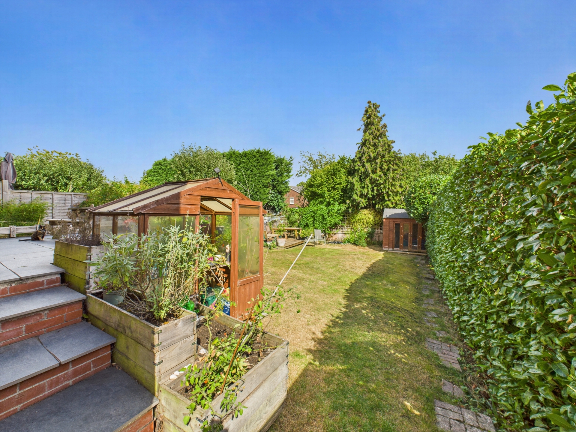 garden 1