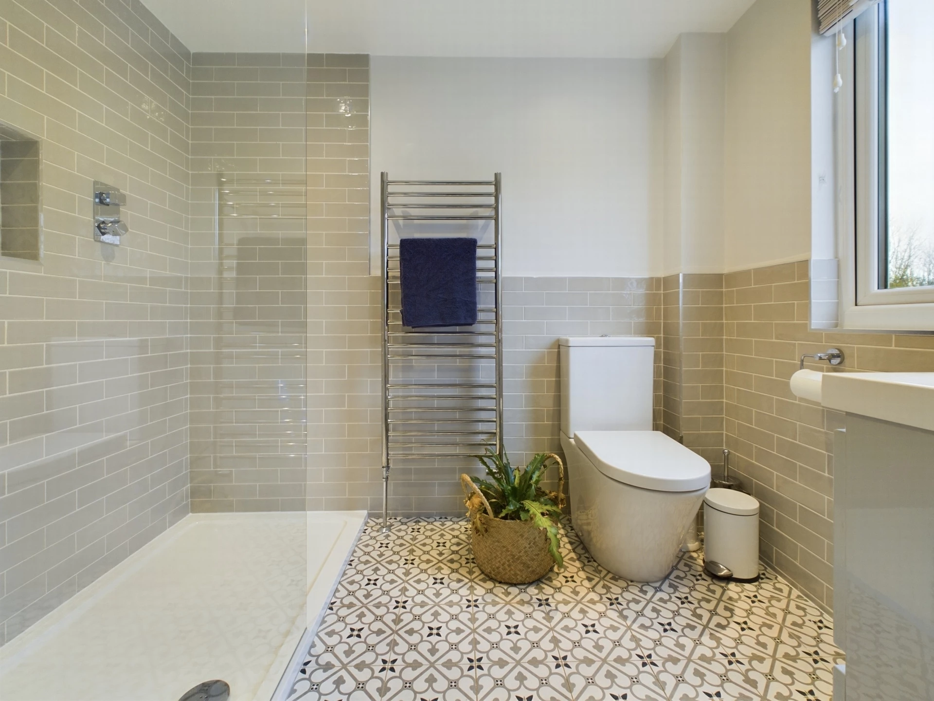 Shower Room