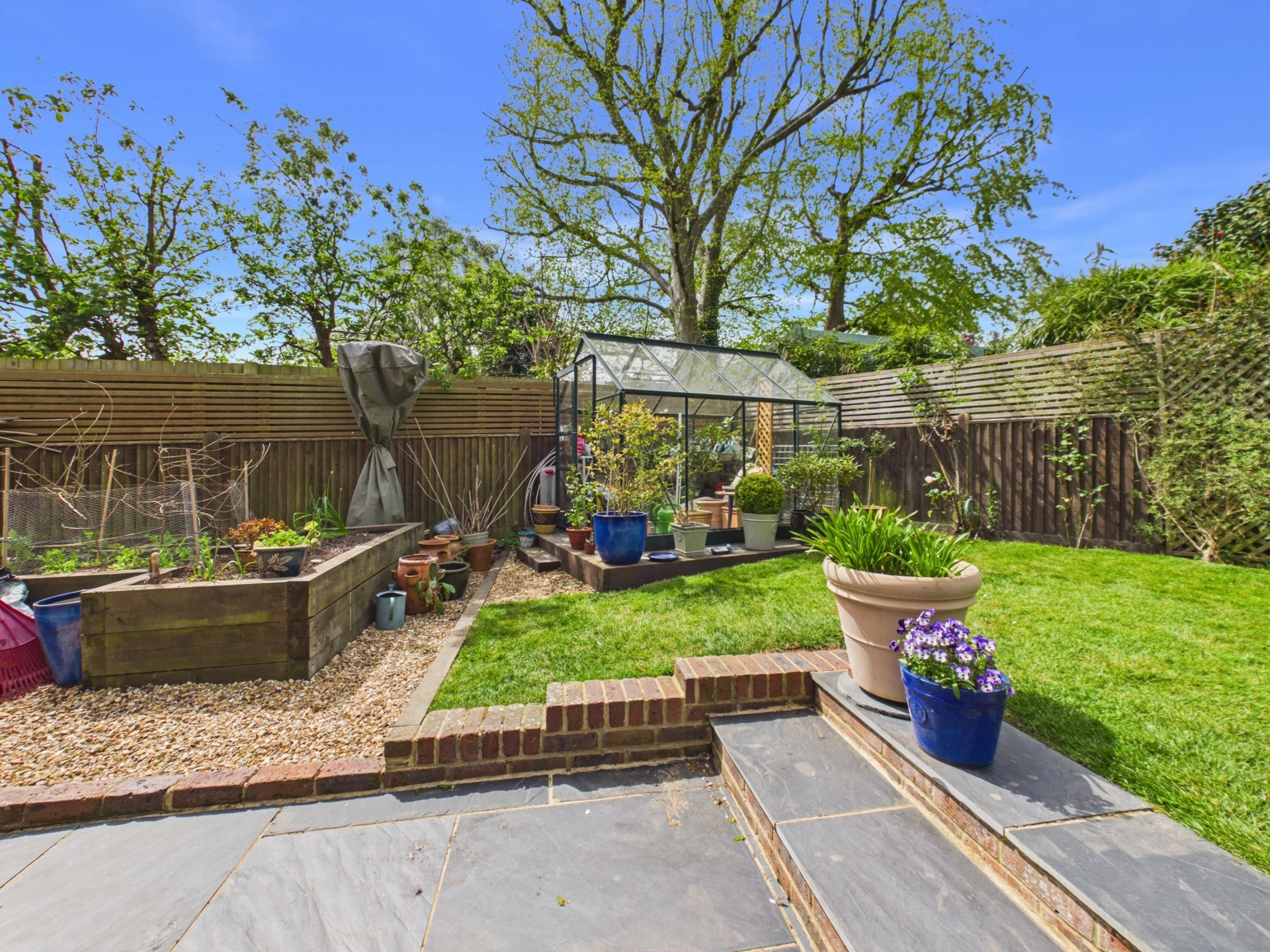garden 1