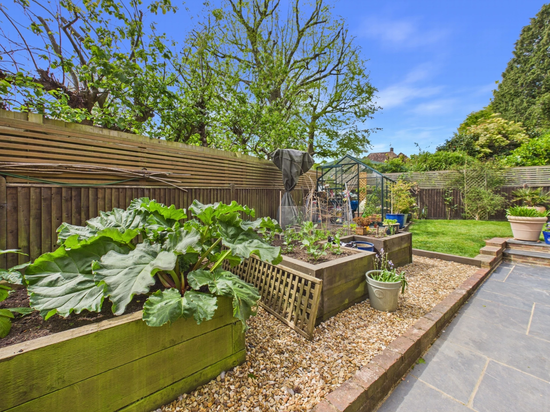 garden 3