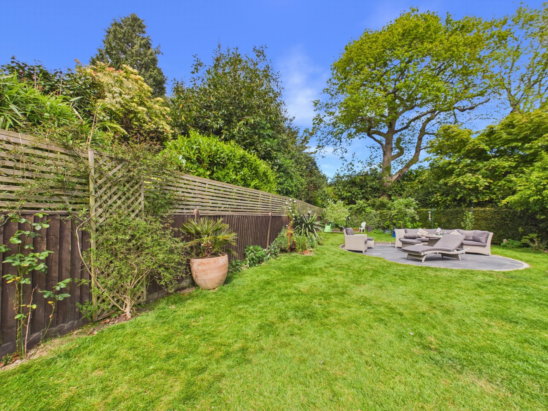 garden 5