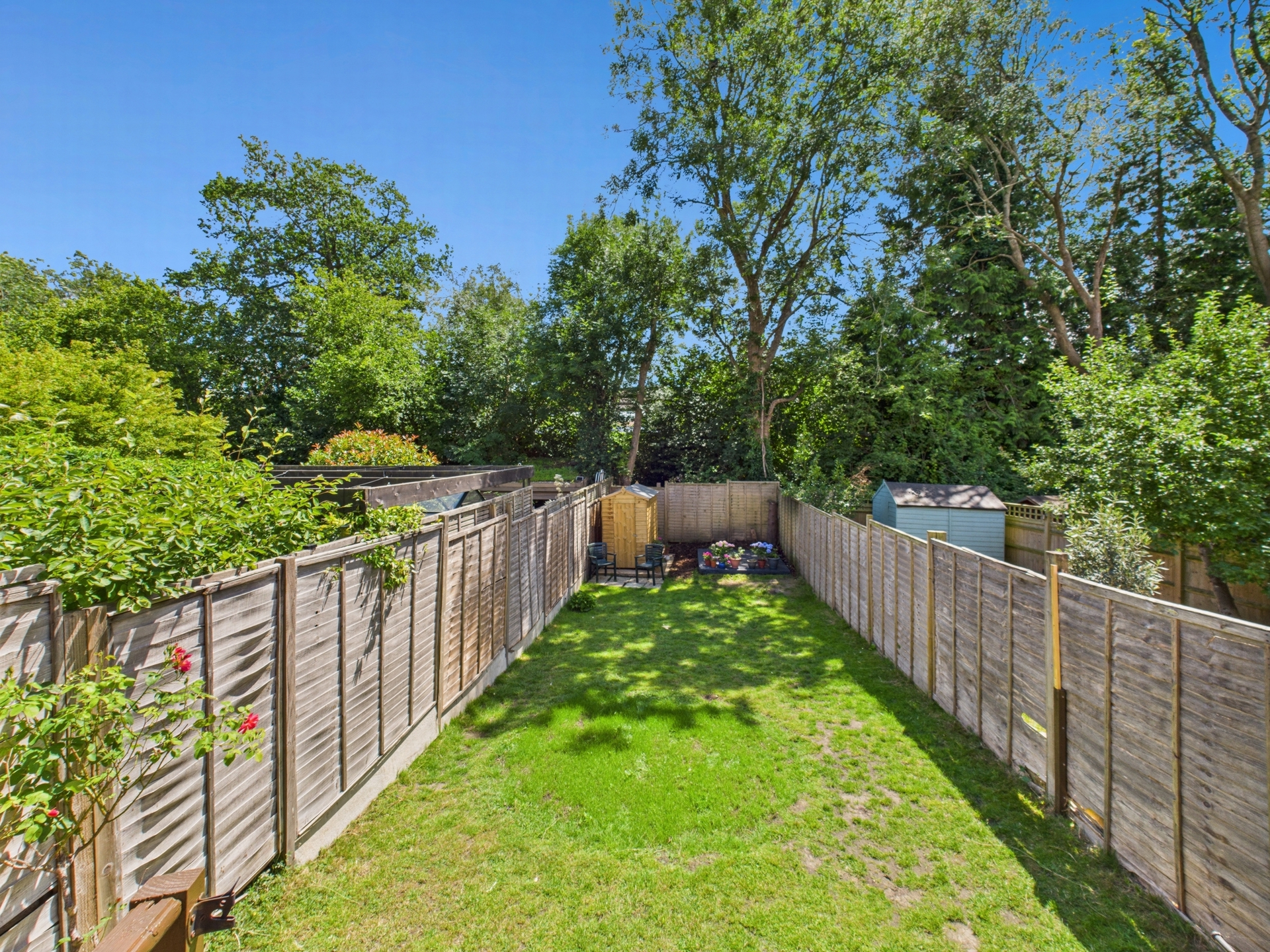 Garden 3