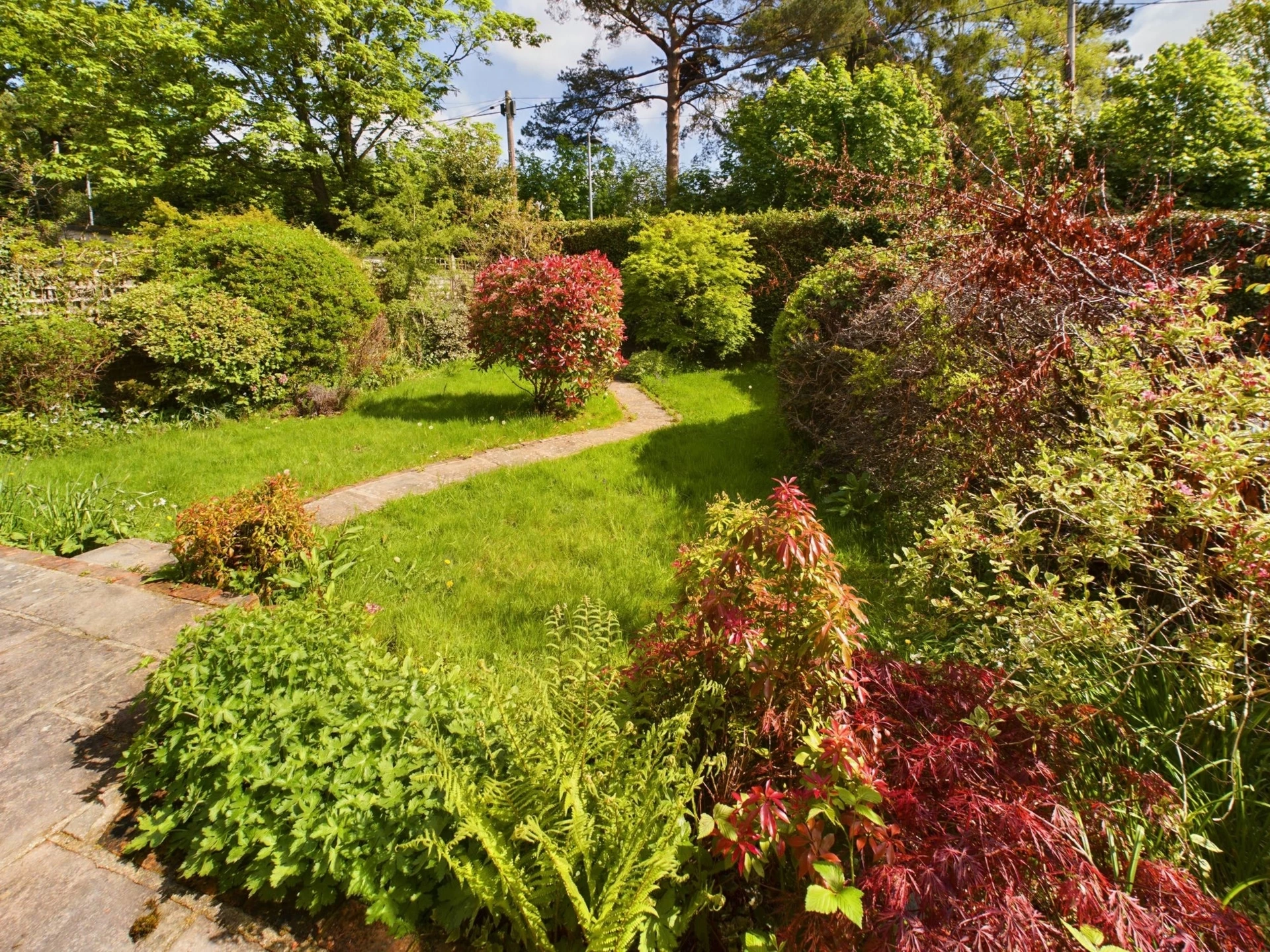 Garden
