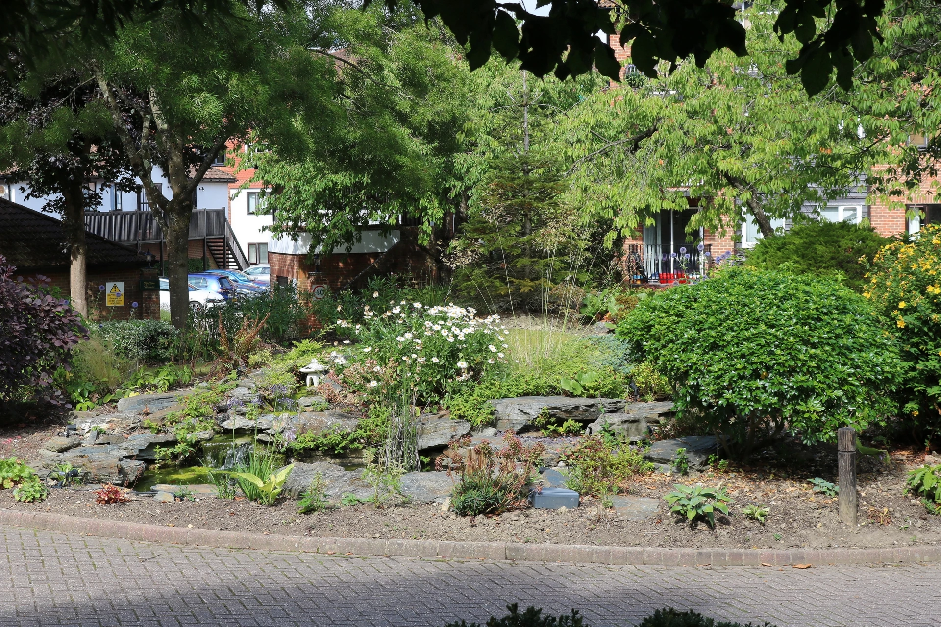 Photo 7