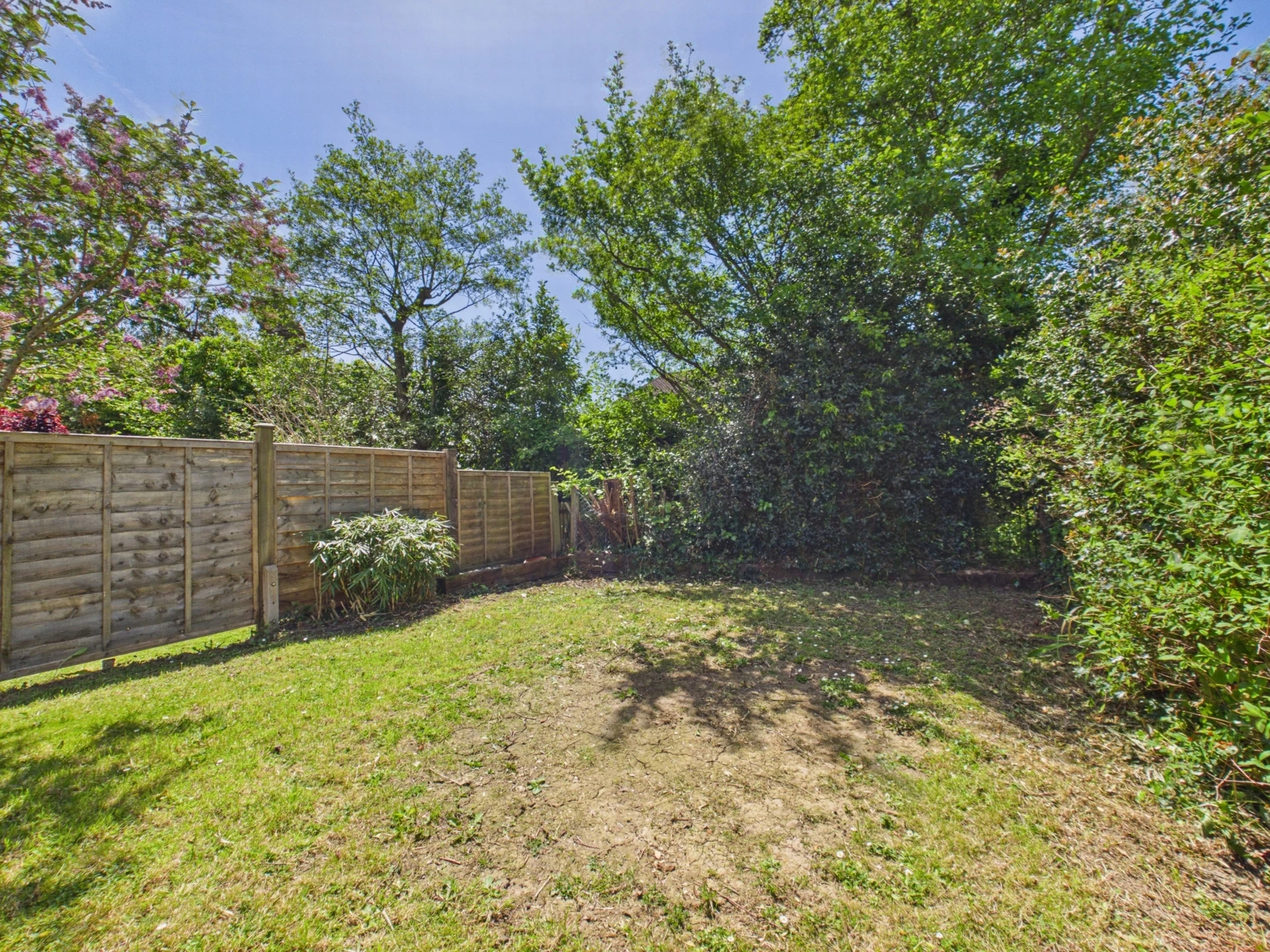 garden 2