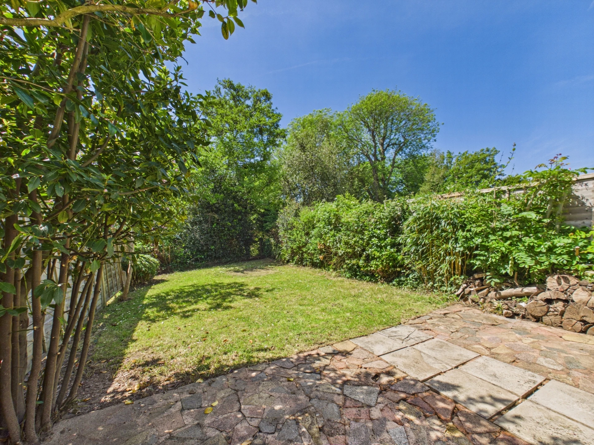 garden