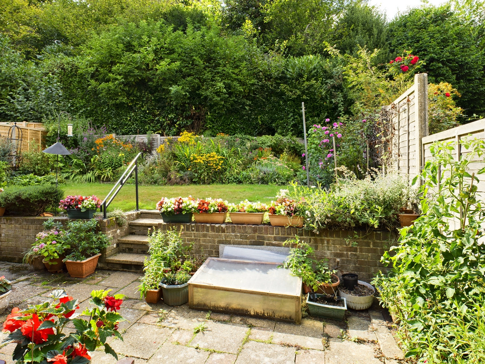 Garden