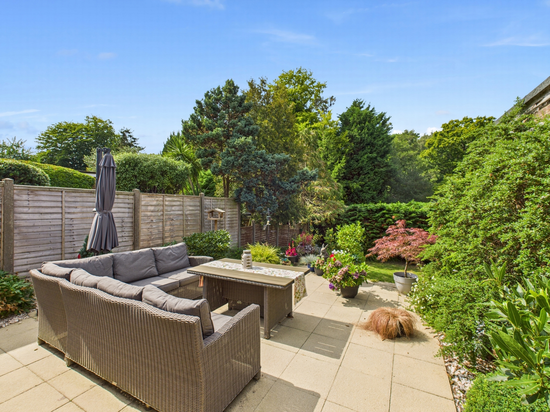 garden 1