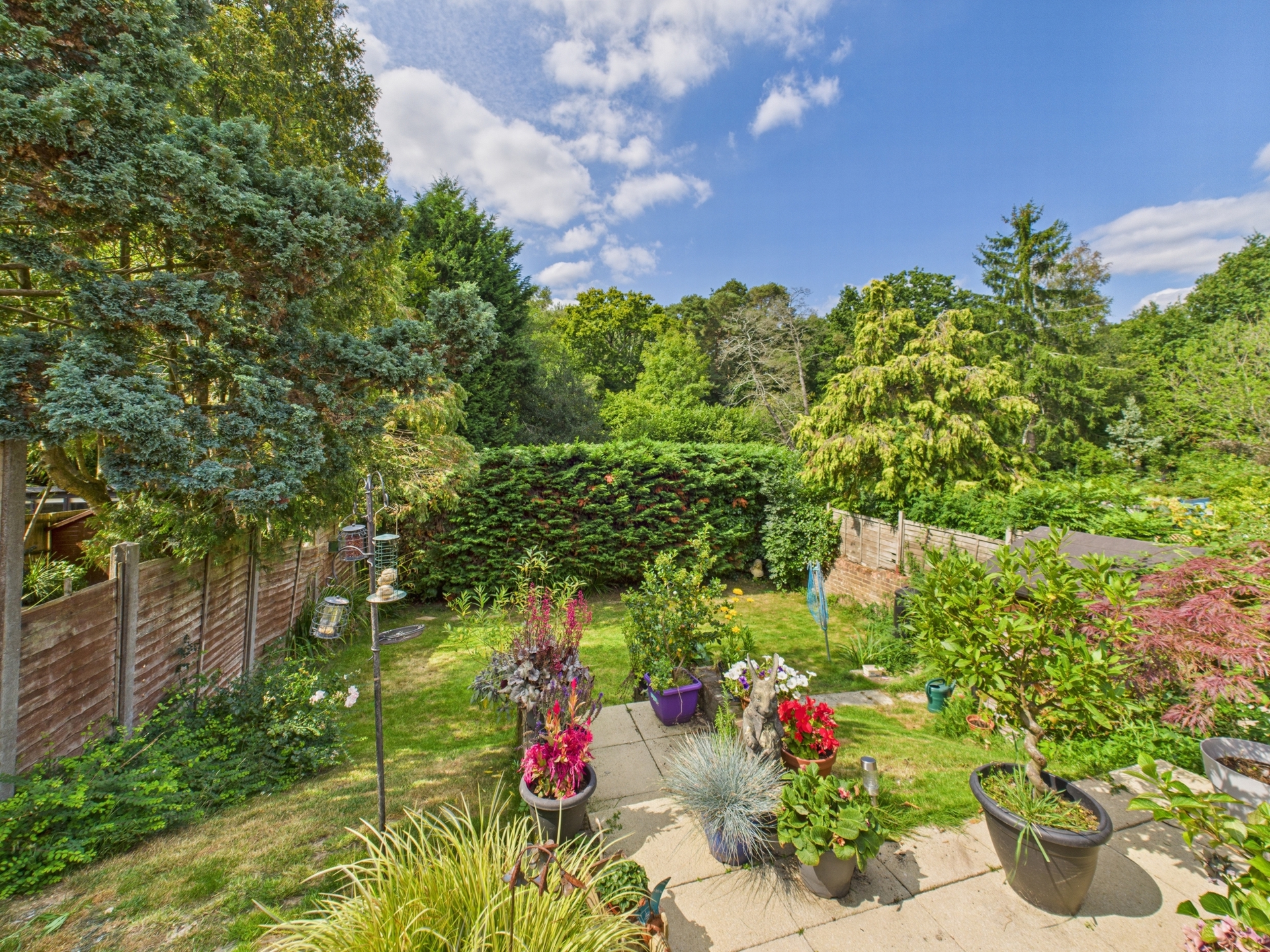 garden 2
