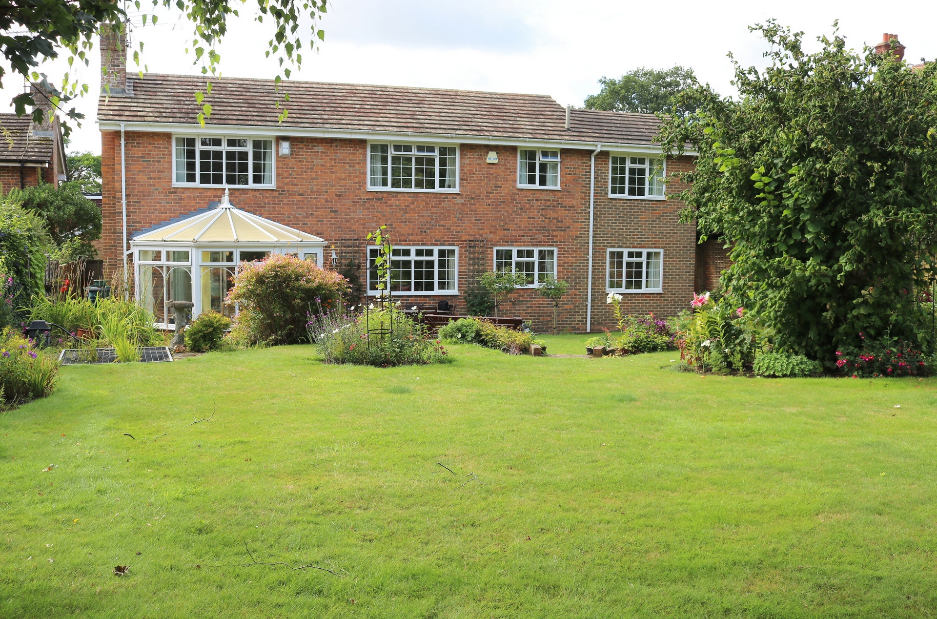 Rear Elevation