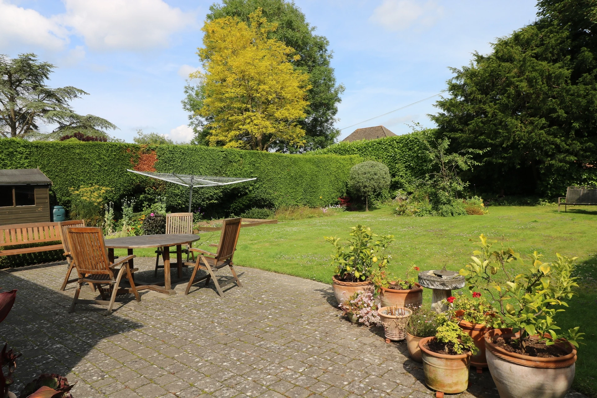 Garden
