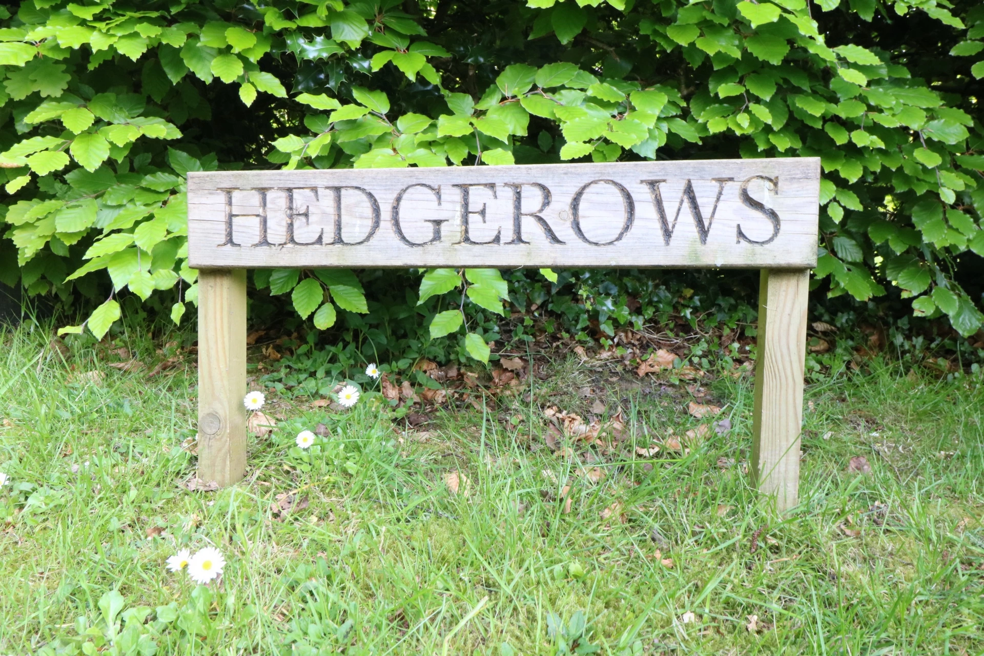 Sign