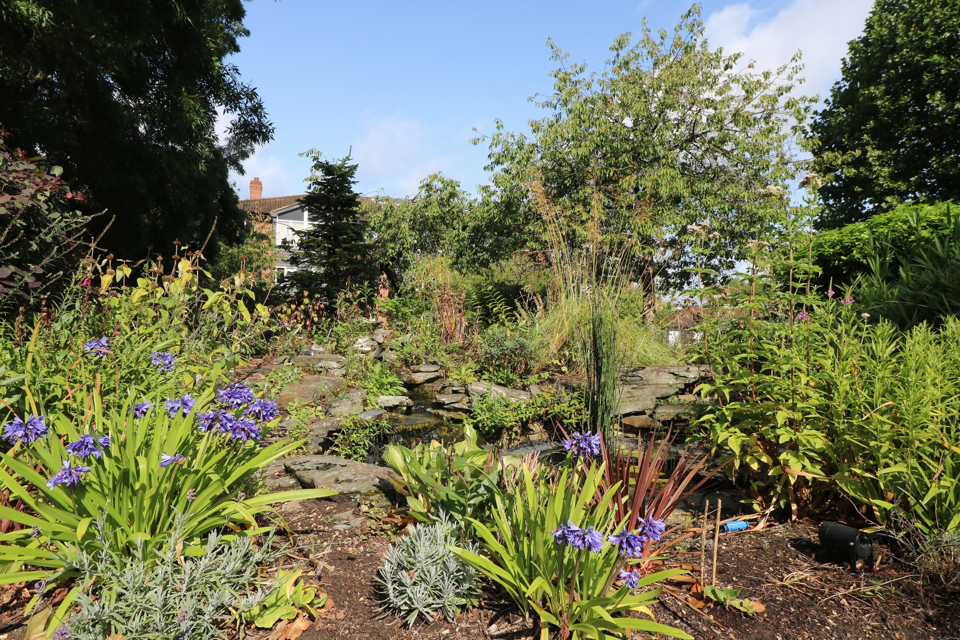 Communal Gardens