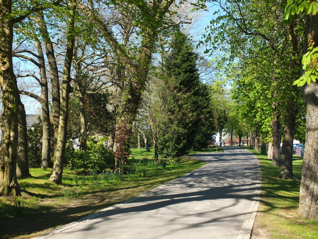 Avenue