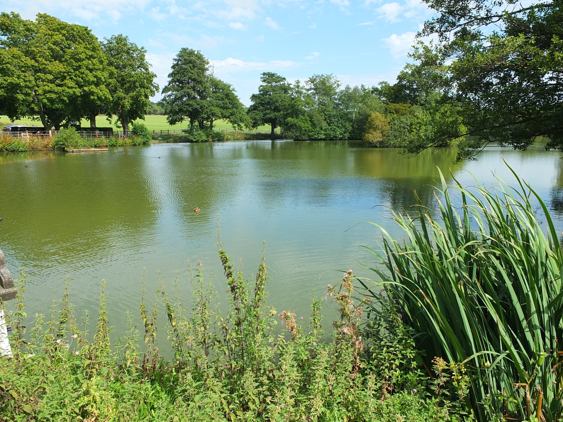 Lake